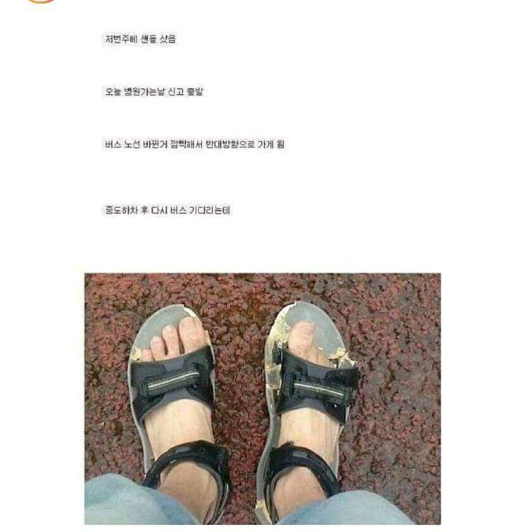 장마철에 싼 샌들사면 안되는이유 | 인스티즈
