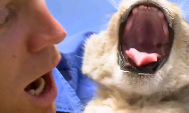 용맹한척 하지만 | 인스티즈