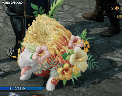 로스트아크에 출시된 가디언펫들 | 인스티즈