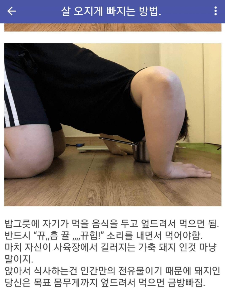 미쳐가는 다이어트 갤러리 | 인스티즈