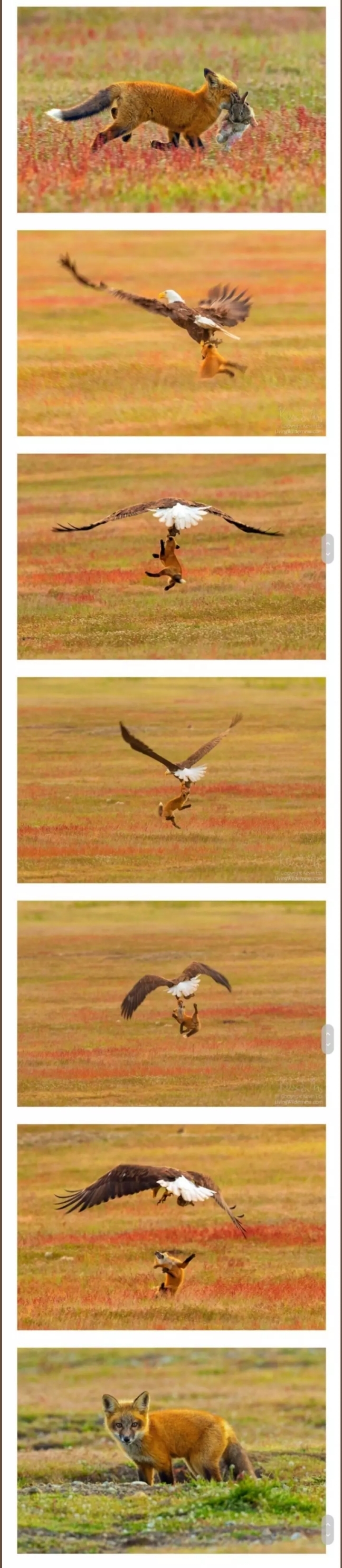 뛰는놈 위에 나는놈 | 인스티즈