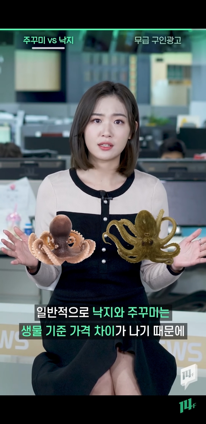 얼마전 낙지냐 쭈꾸미냐 논쟁의 전문가 의견 | 인스티즈