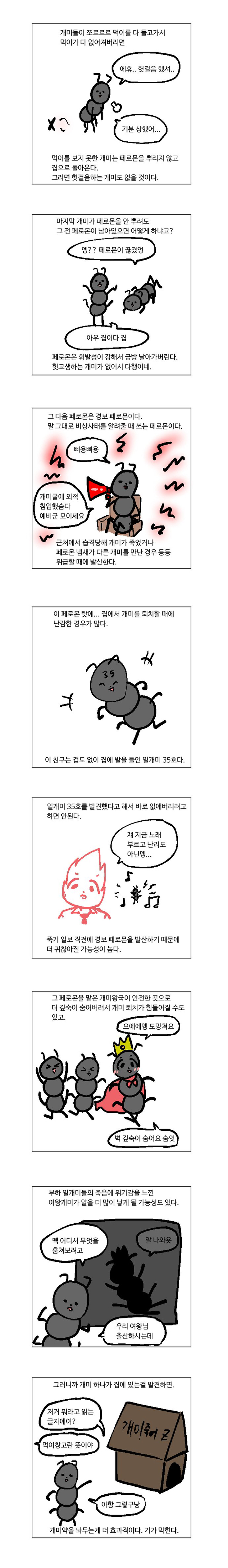 개미와 페로몬 이야기 | 인스티즈