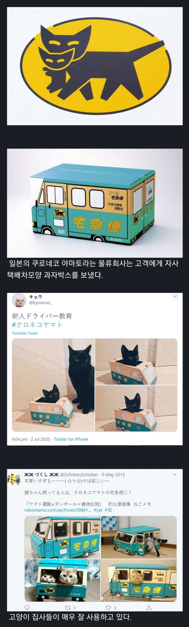 아이디어 택배상자 feat 고양이 | 인스티즈