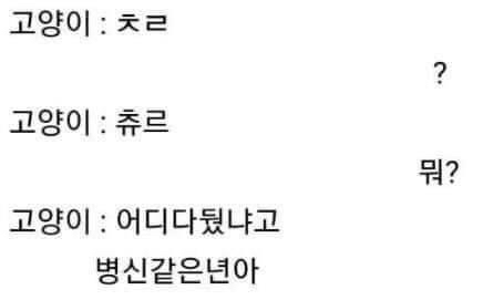 반려동물과 카톡을 한다면.. jpg | 인스티즈