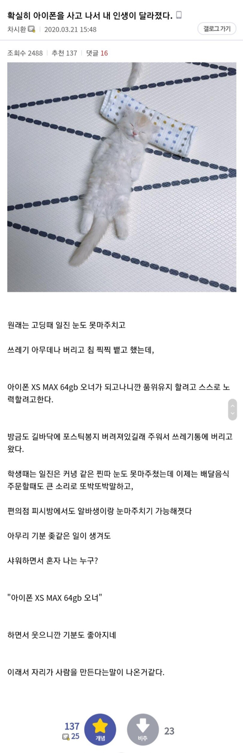 아이폰 사고서 내 인생이 달라졌다 | 인스티즈