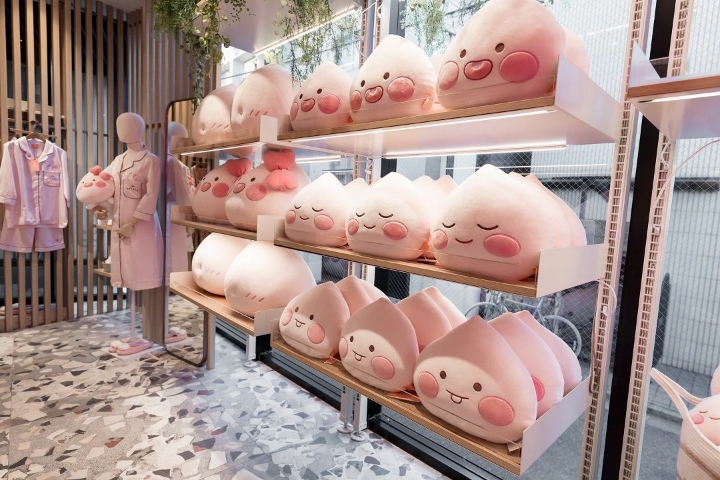 일본열도를 흔들고 있는 차세대 한류스타 | 인스티즈