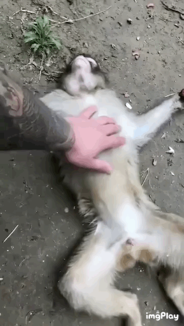??? : 믿었던 좆간 그리고 배신.gif | 인스티즈