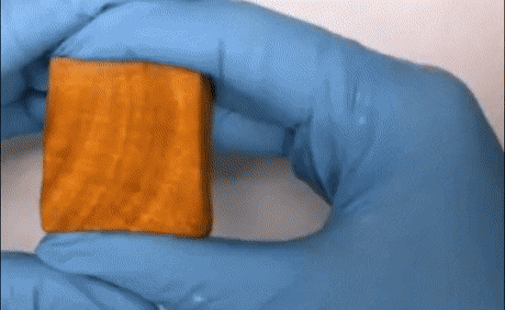 요즘 나무 근황 | 인스티즈