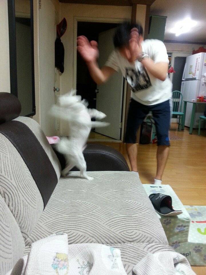 한국에서 가장 역동적인 사진.jpg | 인스티즈