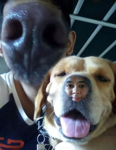 얼굴 바꾸기 어플 대참사 | 인스티즈