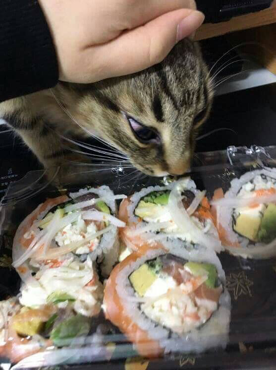 ???: 야야 그거 한입 먹는다고 죽냐 ㅋㅋㅋ | 인스티즈