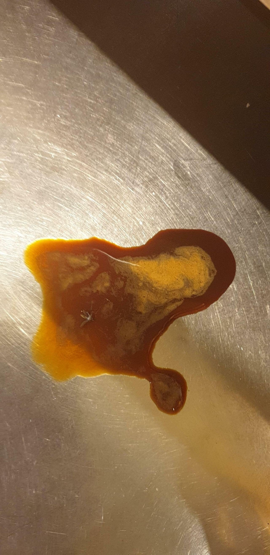 모기 새끼 다양하게 고문하는 모기 갤러리.jpgif | 인스티즈