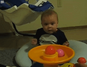 장난감 보고 놀람.gif | 인스티즈