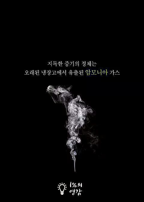 안내견이 짖은이유 | 인스티즈