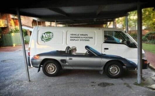 5초후에 이해하는 사진 모음.jpg | 인스티즈