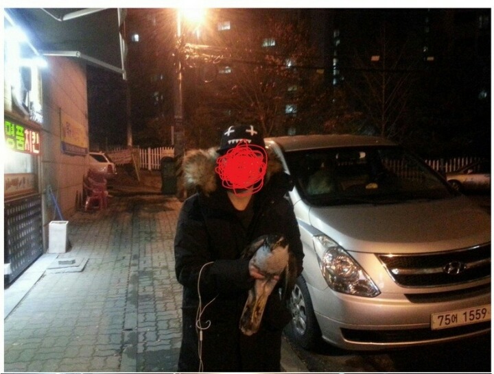 맨손으로 매 잡은 디씨인 | 인스티즈