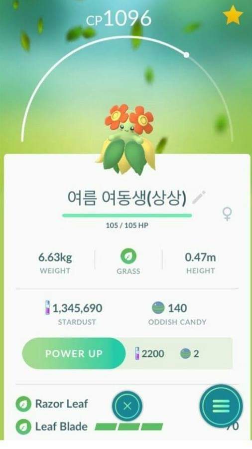 여동생을 포켓몬으로 비유 | 인스티즈