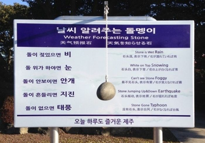 생각보다 정확한 제주도 날씨 알려주는 돌멩이 | 인스티즈