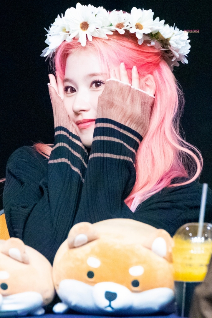 2020년을 여는 트와이스 사나 첫번째 글 | 인스티즈