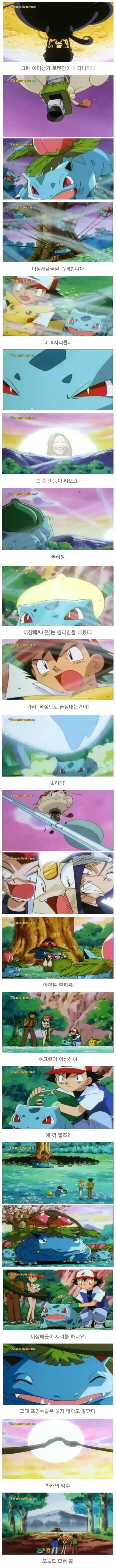 진화거부하는 이상해씨 | 인스티즈