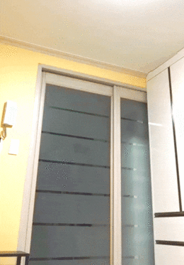 디시 모기갤 사냥꾼 레전드.jpgif | 인스티즈