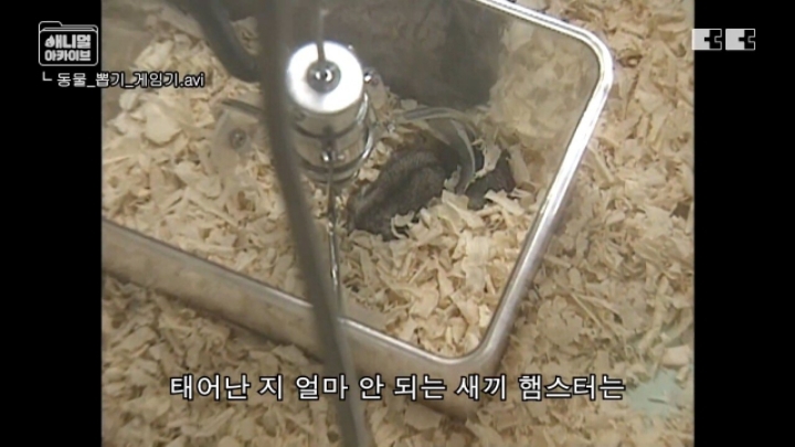 잼민이들은 모르는 저세상 인형뽑기 ㄷㄷㄷㄷ | 인스티즈