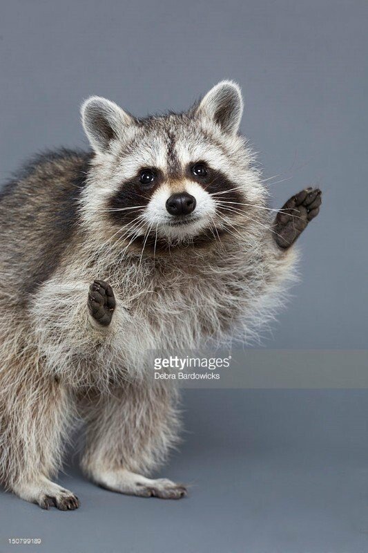 풀버전 희귀짤.jpg | 인스티즈