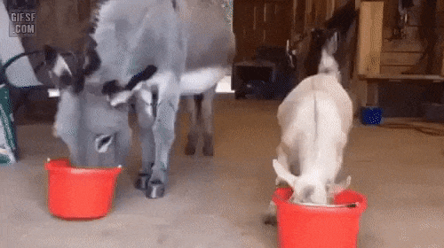 양아치.gif | 인스티즈