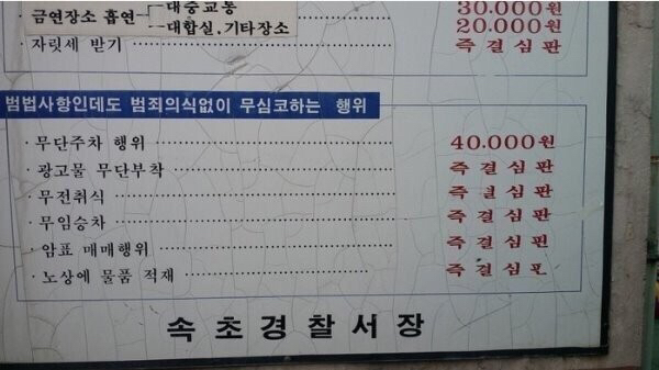 상남자의도시 속초의 범죄자 처벌 | 인스티즈