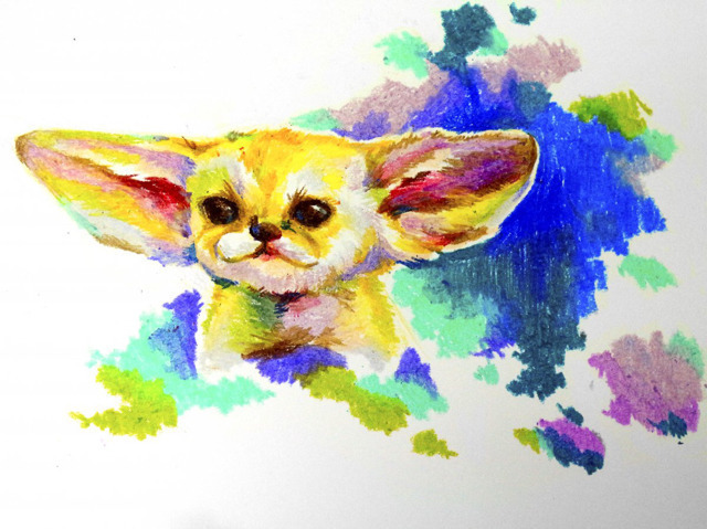 크레파스로 그린 사막여우 | 인스티즈