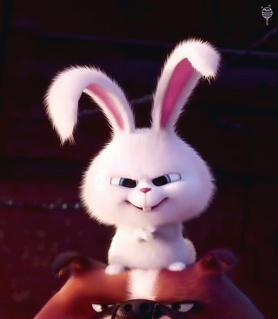 마이펫의 이중생활에서 핵귀여운 스노우볼.gif | 인스티즈