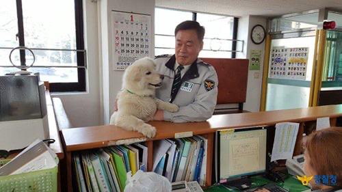 버려진 아기 강아지 주워서 기른 경찰들.jpg | 인스티즈