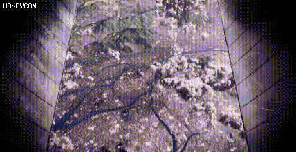 일본이 아시아 최고의 나라인 이유 | 인스티즈