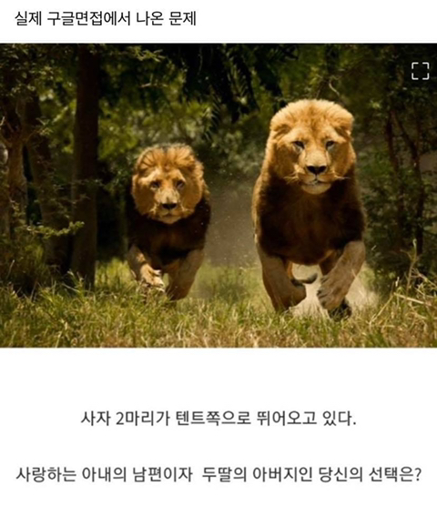 실제 구글면접에서 나온 문제 | 인스티즈