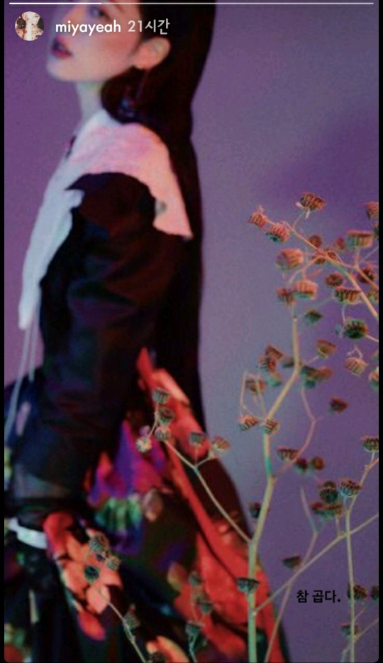 설리를 추모하는 연예인들.jpg | 인스티즈