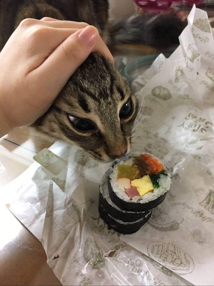???: 야야 그거 한입 먹는다고 죽냐 ㅋㅋㅋ | 인스티즈
