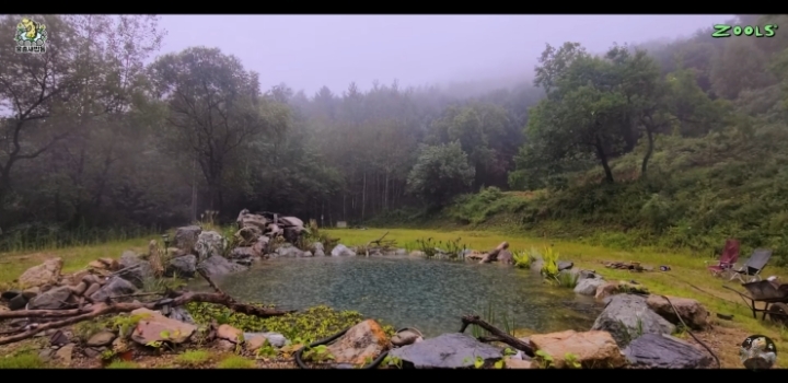 직접 만든 연못에 새로운 어종 추가하는 유튜버.jpg | 인스티즈