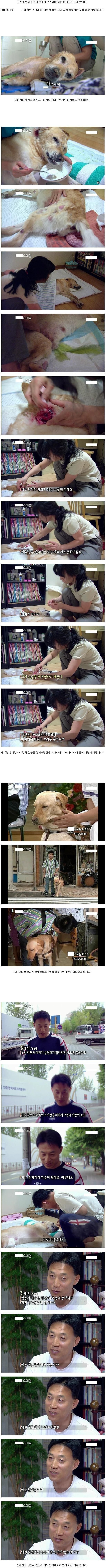 안내견대부의 이야기 | 인스티즈