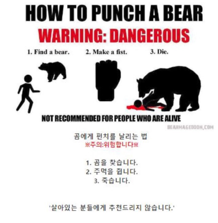 길가다 곰과 마주쳤을시 대처법 | 인스티즈