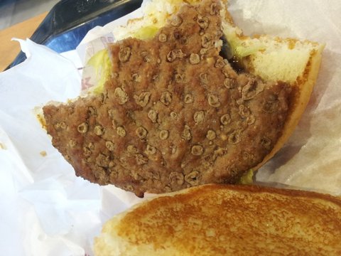 처음보면 많이 충격적인 버거킹 와퍼 패티.jpg (혐오주의) | 인스티즈