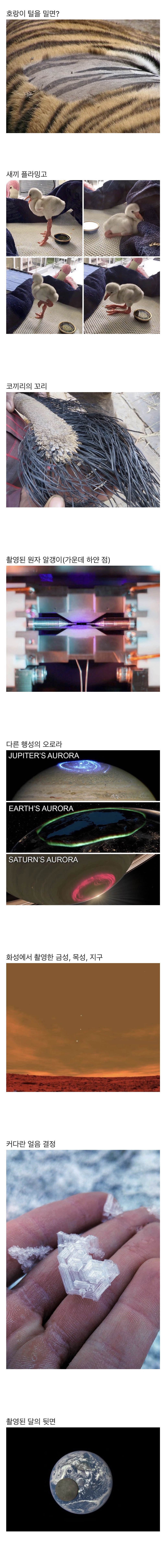 평소에 보기 힘든 사진들.jpg | 인스티즈