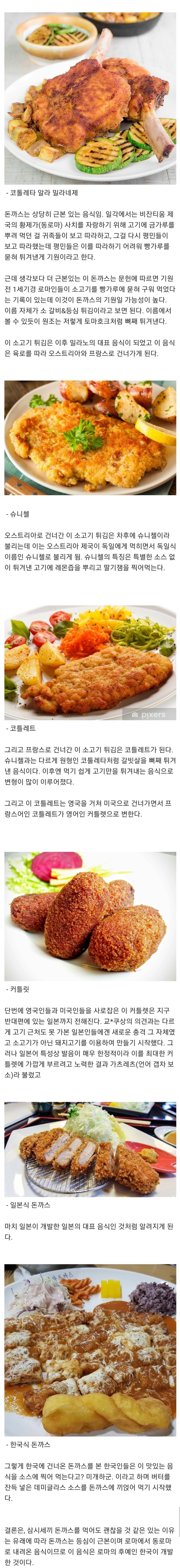 돈까스의 기원.jpg | 인스티즈