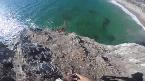 제정신이 아닌 강심장만 가능한 절벽 다이빙.gif | 인스티즈