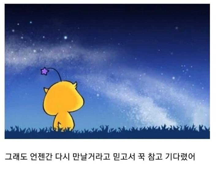 꿈돌이 근황 | 인스티즈