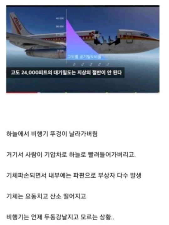 비행기 안전벨트 메야하는이유 | 인스티즈