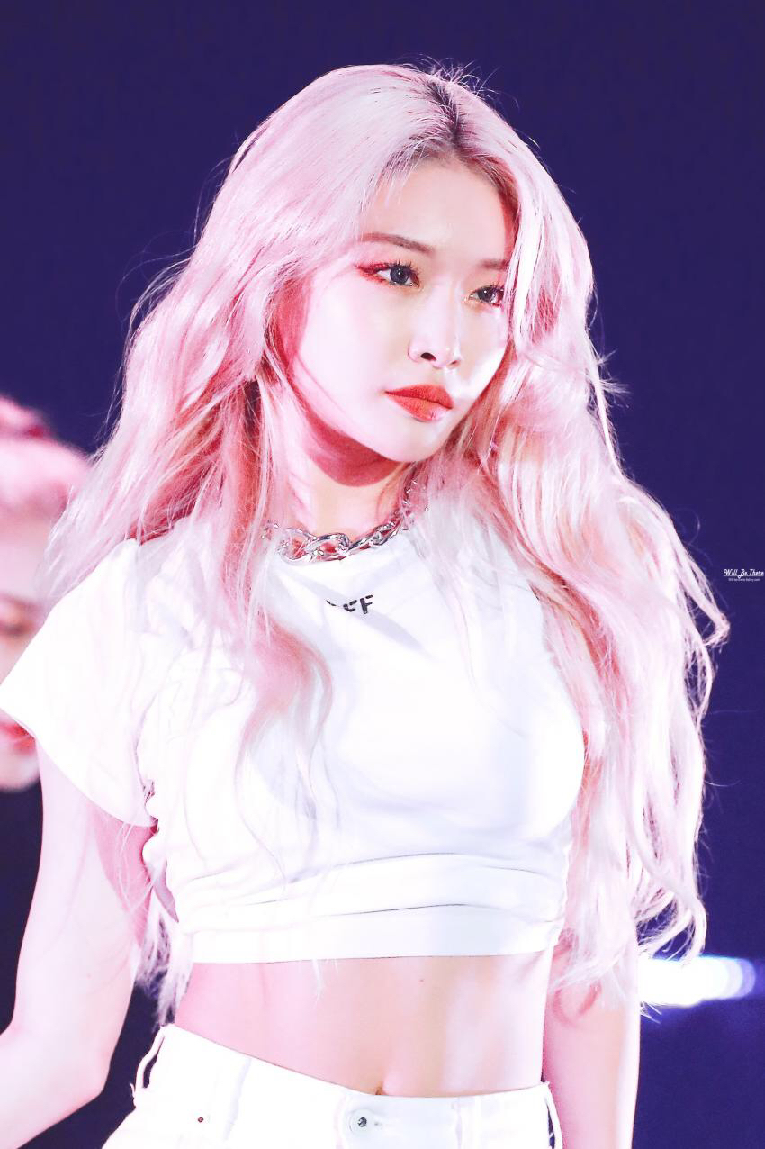 김청하존나마제스티 | 인스티즈