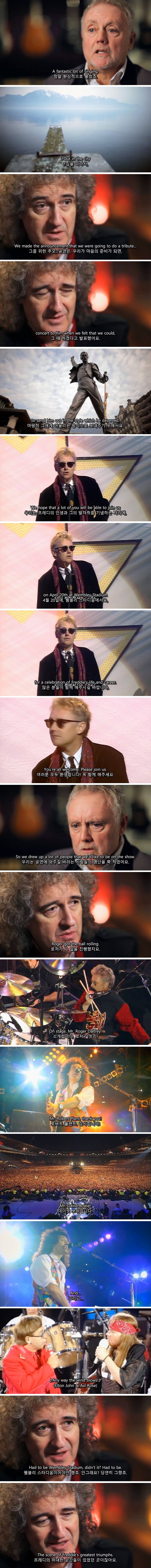  죽어가면서도 노래 생각뿐이었던 프레디 머큐리 | 인스티즈