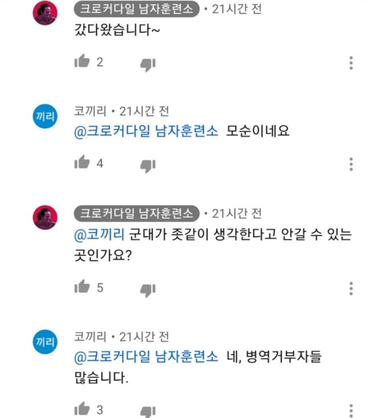 가짜사나이가 불편하신 유투버 영상 댓글 일침ㄷㄷㄷㄷ | 인스티즈