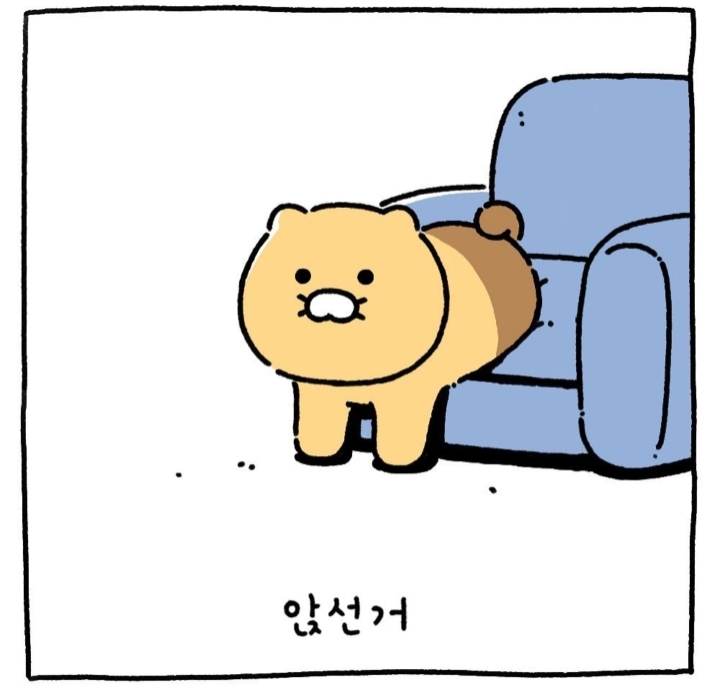 귀여운 춘식이 | 인스티즈